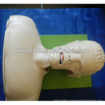 Simulador de la intubación de las vías respiratorias (manejo de las vías respiratorias, modelo anatómico)